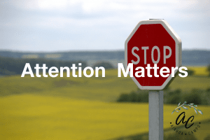 Attention matters